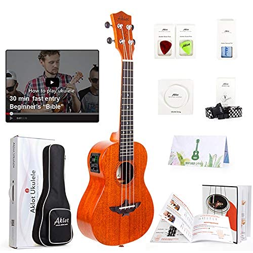 Best Electric Ukulele Musicians Of All Levels in