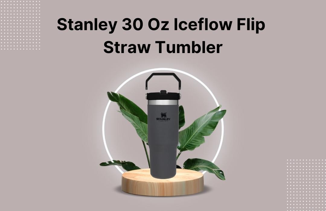 20oz 30oz Stanleys Iceflow Spill and Leakproof Reusable Flip Straw
