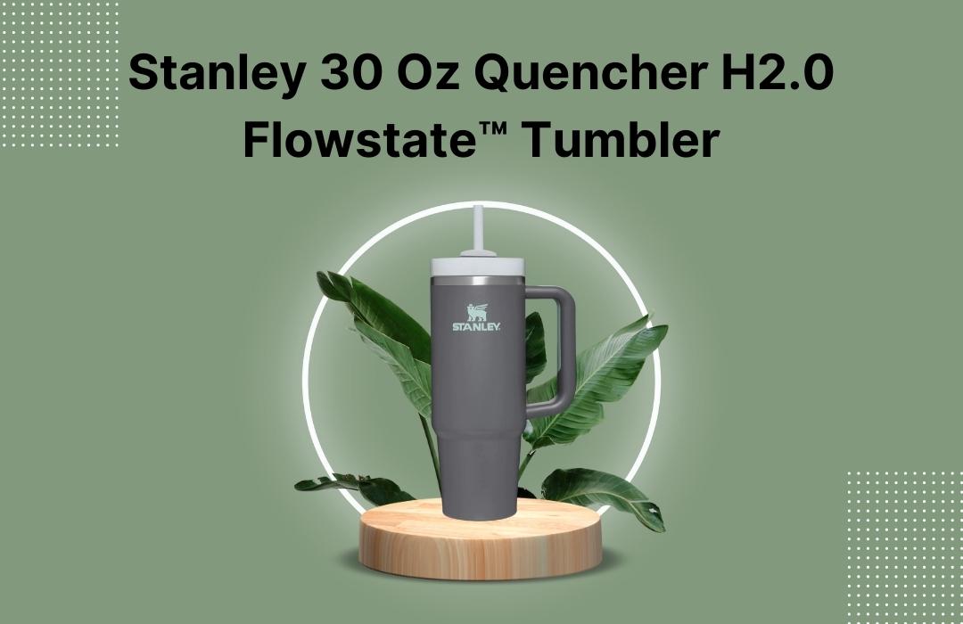 Stanley- Adventure Quencher Travel Tumbler 30oz(Purple Glare